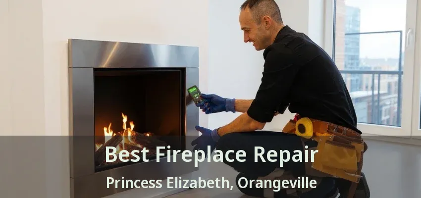 Best Fireplace Repair Princess Elizabeth, Orangeville - ON Best Fireplace Repair Princess Elizabeth, Orangeville - ON