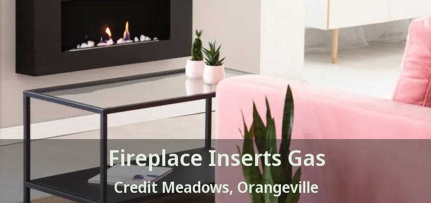 Fireplace Inserts Gas Credit Meadows, Orangeville - ON Fireplace Inserts Gas Credit Meadows, Orangeville - ON