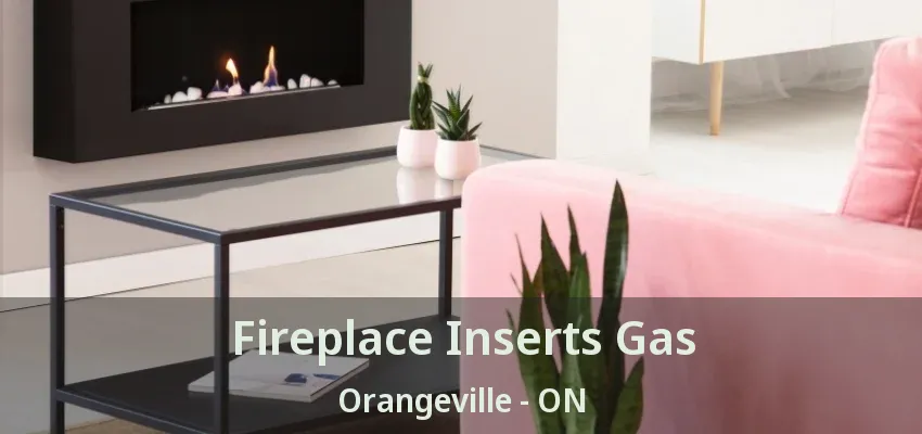 Fireplace Inserts Gas Orangeville - ON Fireplace Inserts Gas Orangeville - ON