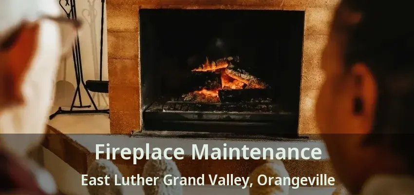 Fireplace Maintenance East Luther Grand Valley, Orangeville - ON Fireplace Maintenance East Luther Grand Valley, Orangeville - ON