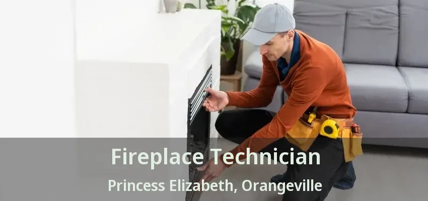 Fireplace Technician Princess Elizabeth, Orangeville - ON Fireplace Technician Princess Elizabeth, Orangeville - ON