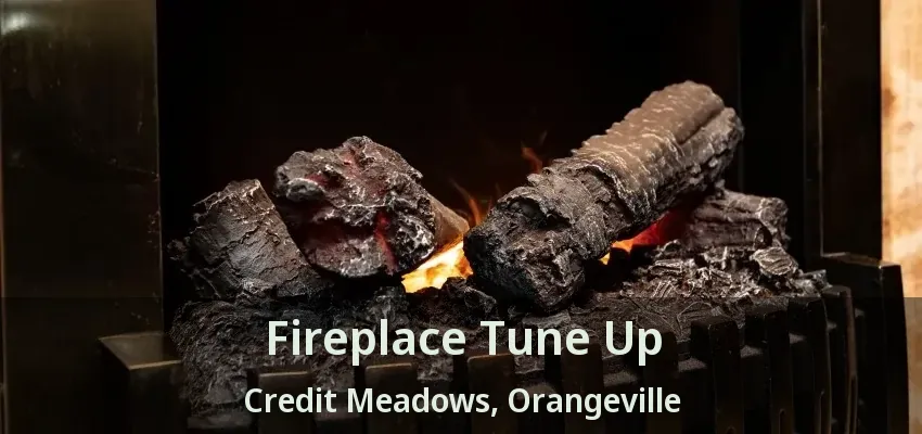 Fireplace Tune Up Credit Meadows, Orangeville - ON Fireplace Tune Up Credit Meadows, Orangeville - ON