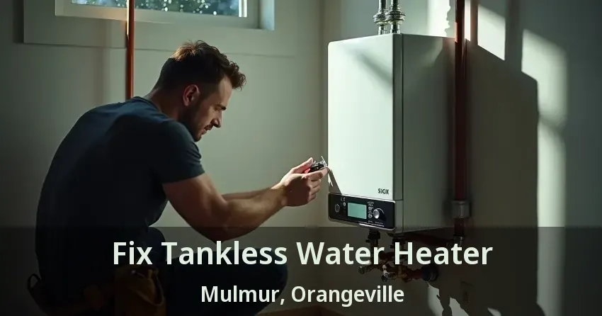 Fix Tankless Water Heater Mulmur, Orangeville - ON Fix Tankless Water Heater Mulmur, Orangeville - ON