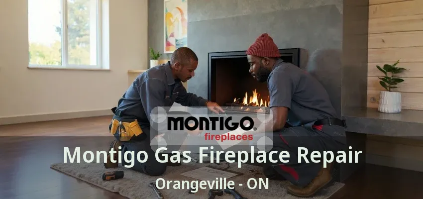 Montigo Gas Fireplace Repair Orangeville - ON