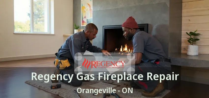 Regency Gas Fireplace Repair Orangeville - ON