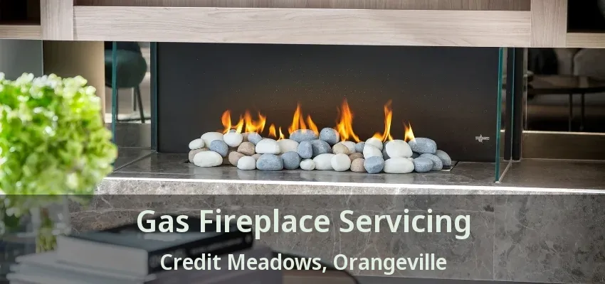 Gas Fireplace Servicing Credit Meadows, Orangeville - ON Gas Fireplace Servicing Credit Meadows, Orangeville - ON