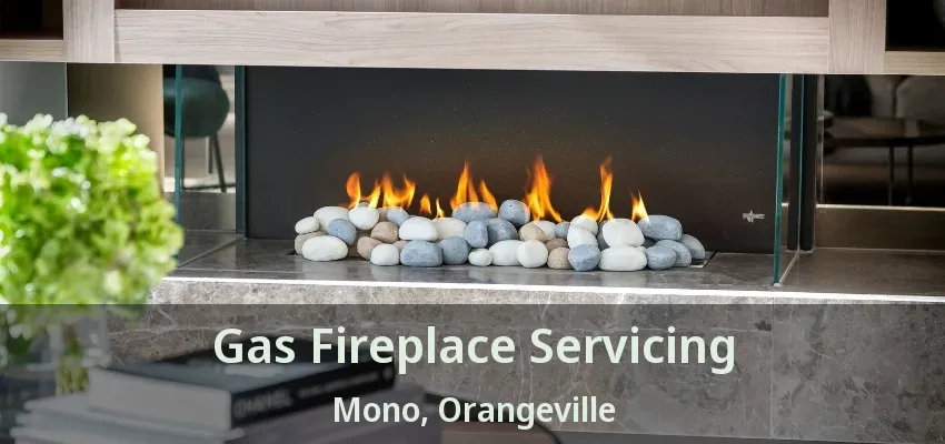 Gas Fireplace Servicing Mono, Orangeville - ON Gas Fireplace Servicing Mono, Orangeville - ON
