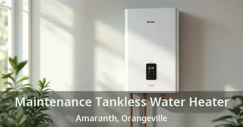Maintenance Tankless Water Heater Amaranth, Orangeville - ON Maintenance Tankless Water Heater Amaranth, Orangeville - ON