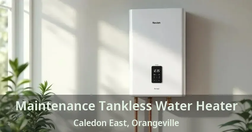 Maintenance Tankless Water Heater Caledon East, Orangeville - ON Maintenance Tankless Water Heater Caledon East, Orangeville - ON