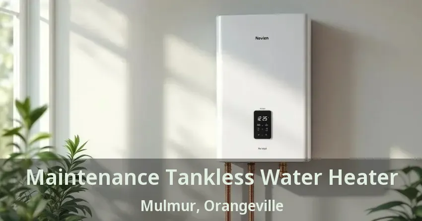 Maintenance Tankless Water Heater Mulmur, Orangeville - ON Maintenance Tankless Water Heater Mulmur, Orangeville - ON