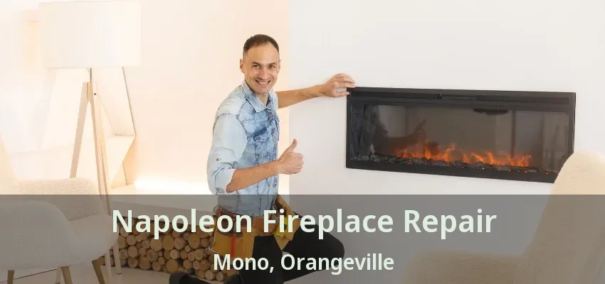Napoleon Fireplace Repair Mono, Orangeville - ON Napoleon Fireplace Repair Mono, Orangeville - ON