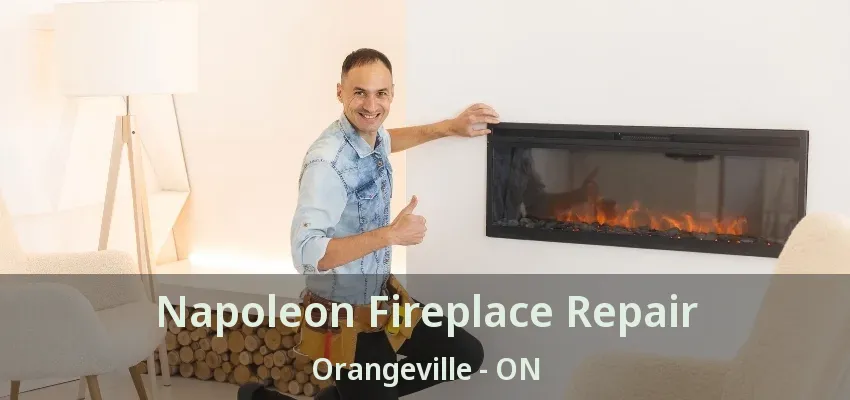 Napoleon Fireplace Repair Orangeville - ON Napoleon Fireplace Repair Orangeville - ON