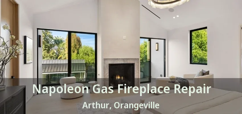 Napoleon Gas Fireplace Repair Arthur, Orangeville - ON Napoleon Gas Fireplace Repair Arthur, Orangeville - ON