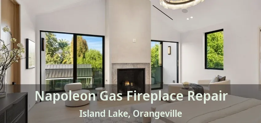 Napoleon Gas Fireplace Repair Island Lake, Orangeville - ON