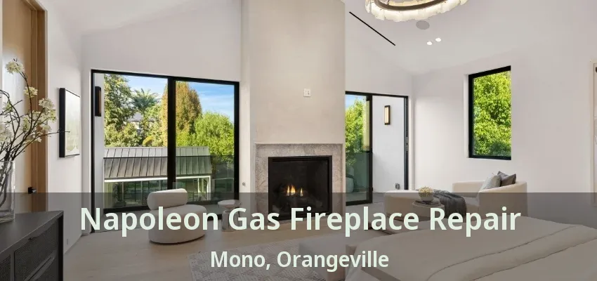 Napoleon Gas Fireplace Repair Mono, Orangeville - ON Napoleon Gas Fireplace Repair Mono, Orangeville - ON
