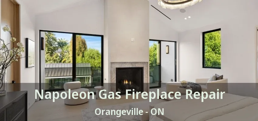 Napoleon Gas Fireplace Repair Orangeville - ON Napoleon Gas Fireplace Repair Orangeville - ON
