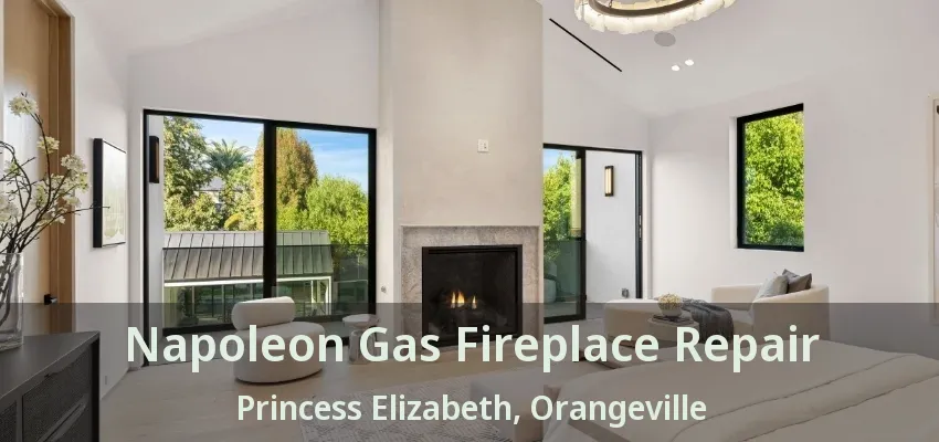 Napoleon Gas Fireplace Repair Princess Elizabeth, Orangeville - ON Napoleon Gas Fireplace Repair Princess Elizabeth, Orangeville - ON