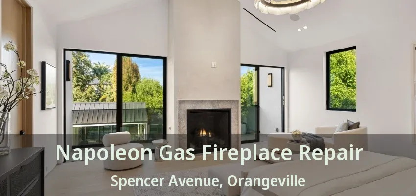 Napoleon Gas Fireplace Repair Spencer Avenue, Orangeville - ON Napoleon Gas Fireplace Repair Spencer Avenue, Orangeville - ON