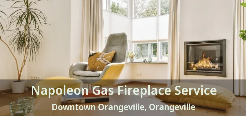 Napoleon Gas Fireplace Service Downtown Orangeville, Orangeville - ON Napoleon Gas Fireplace Service Downtown Orangeville, Orangeville - ON