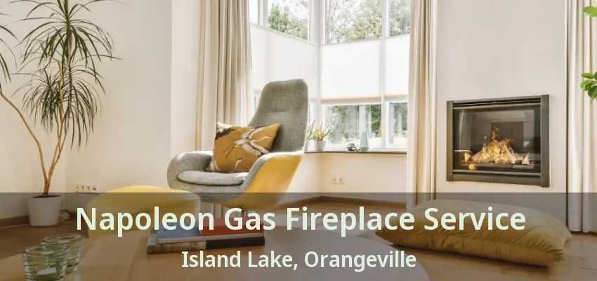 Napoleon Gas Fireplace Service Island Lake, Orangeville - ON Napoleon Gas Fireplace Service Island Lake, Orangeville - ON