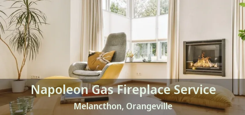 Napoleon Gas Fireplace Service Melancthon, Orangeville - ON Napoleon Gas Fireplace Service Melancthon, Orangeville - ON