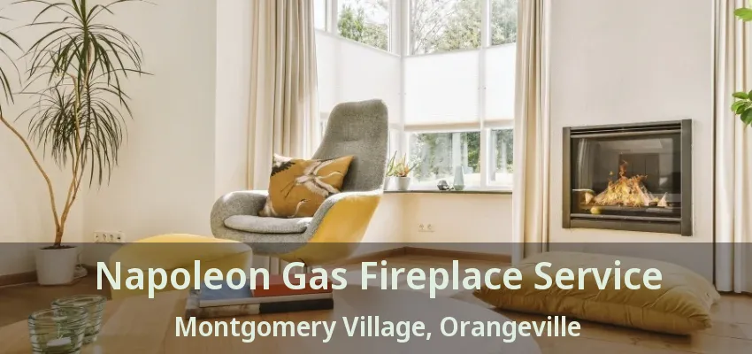 Napoleon Gas Fireplace Service Montgomery Village, Orangeville - ON