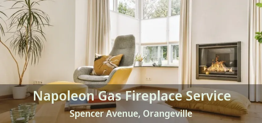 Napoleon Gas Fireplace Service Spencer Avenue, Orangeville - ON