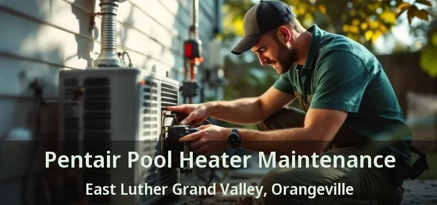 Pentair Pool Heater Maintenance East Luther Grand Valley, Orangeville - ON Pentair Pool Heater Maintenance East Luther Grand Valley, Orangeville - ON
