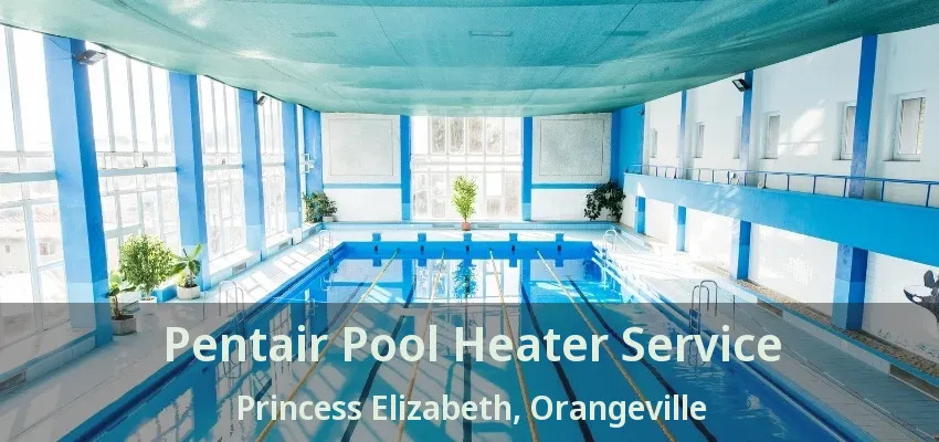 Pentair Pool Heater Service Princess Elizabeth, Orangeville - ON Pentair Pool Heater Service Princess Elizabeth, Orangeville - ON