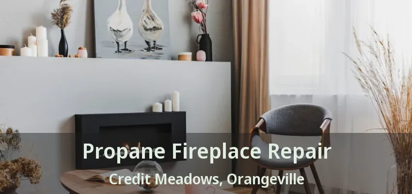 Propane Fireplace Repair Credit Meadows, Orangeville - ON Propane Fireplace Repair Credit Meadows, Orangeville - ON