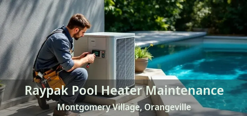 Raypak Pool Heater Maintenance Montgomery Village, Orangeville - ON