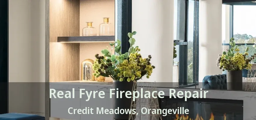 Real Fyre Fireplace Repair Credit Meadows, Orangeville - ON Real Fyre Fireplace Repair Credit Meadows, Orangeville - ON