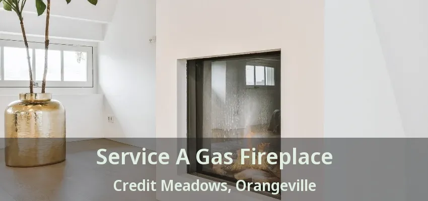 Service A Gas Fireplace Credit Meadows, Orangeville - ON Service A Gas Fireplace Credit Meadows, Orangeville - ON
