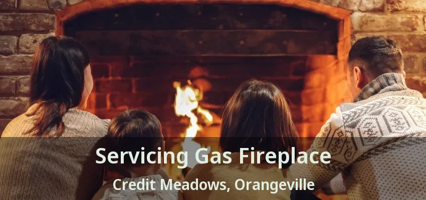 Servicing Gas Fireplace Credit Meadows, Orangeville - ON Servicing Gas Fireplace Credit Meadows, Orangeville - ON