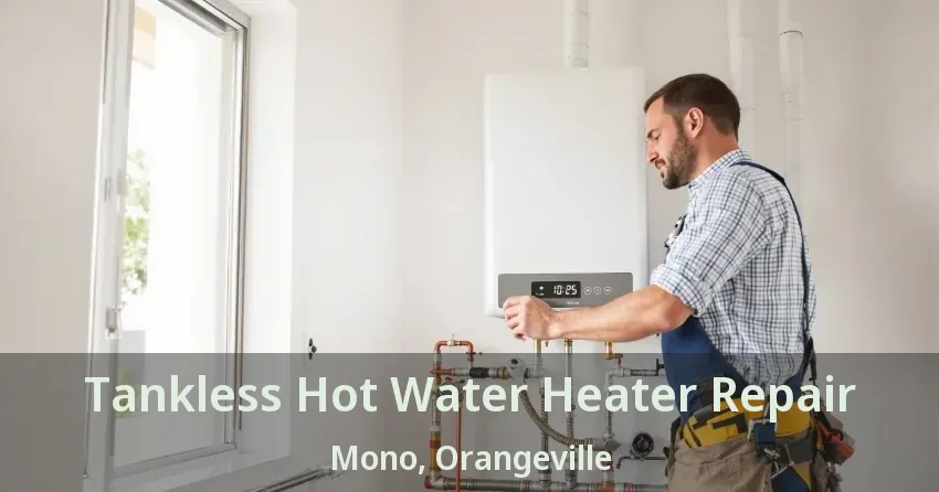 Tankless Hot Water Heater Repair Mono, Orangeville - ON Tankless Hot Water Heater Repair Mono, Orangeville - ON