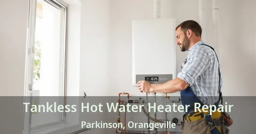 Tankless Hot Water Heater Repair Parkinson, Orangeville - ON Tankless Hot Water Heater Repair Parkinson, Orangeville - ON