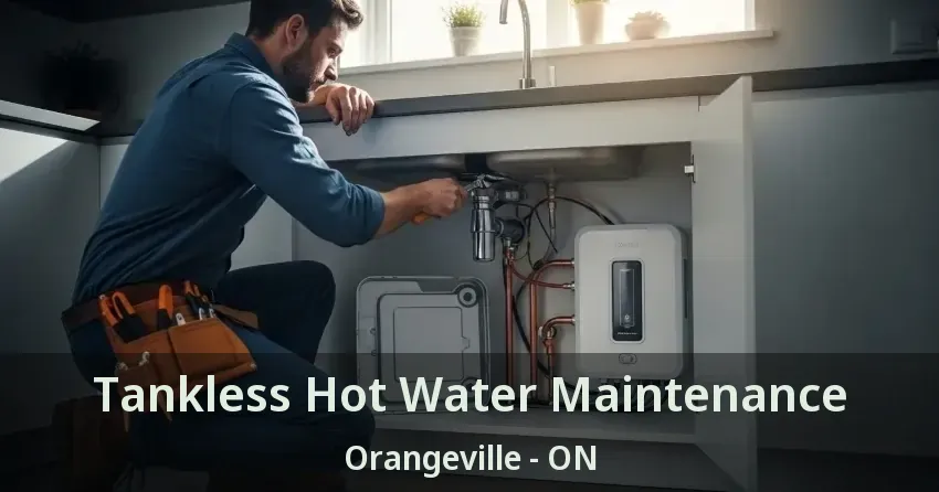 Tankless Hot Water Maintenance Orangeville - ON Tankless Hot Water Maintenance Orangeville - ON