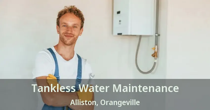 Tankless Water Maintenance Alliston, Orangeville - ON Tankless Water Maintenance Alliston, Orangeville - ON