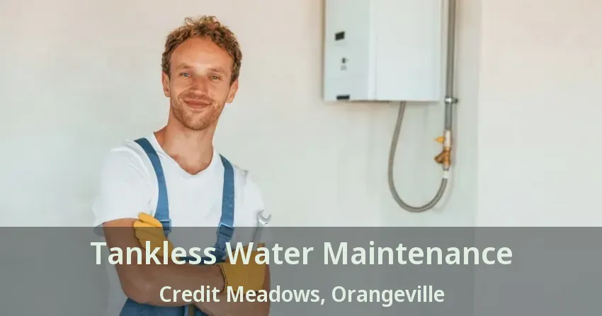 Tankless Water Maintenance Credit Meadows, Orangeville - ON Tankless Water Maintenance Credit Meadows, Orangeville - ON