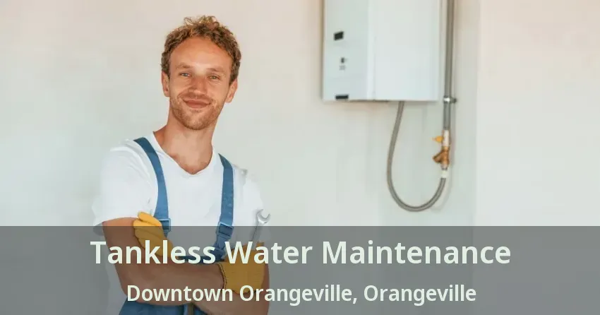 Tankless Water Maintenance Downtown Orangeville, Orangeville - ON Tankless Water Maintenance Downtown Orangeville, Orangeville - ON