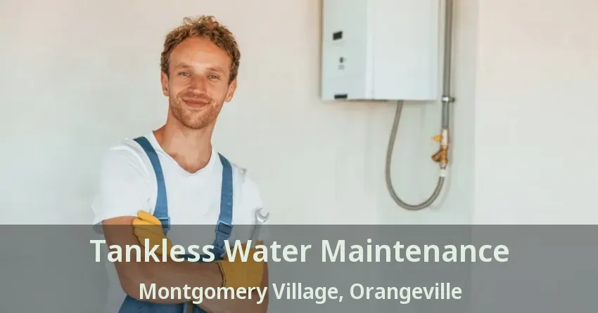 Tankless Water Maintenance Montgomery Village, Orangeville - ON Tankless Water Maintenance Montgomery Village, Orangeville - ON