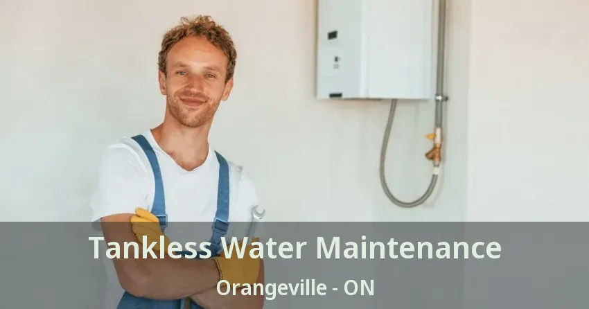 Tankless Water Maintenance Orangeville - ON Tankless Water Maintenance Orangeville - ON