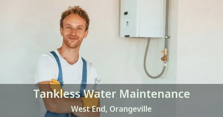 Tankless Water Maintenance West End, Orangeville - ON Tankless Water Maintenance West End, Orangeville - ON