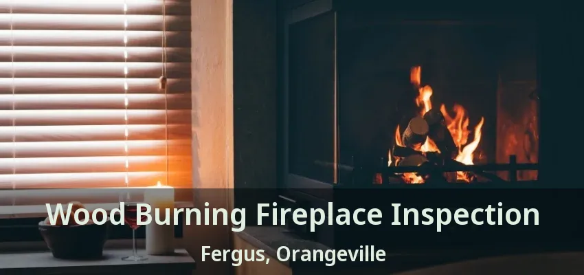 Wood Burning Fireplace Inspection Fergus, Orangeville - ON Wood Burning Fireplace Inspection Fergus, Orangeville - ON