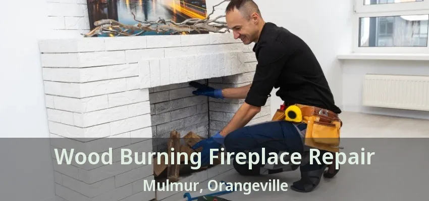Wood Burning Fireplace Repair Mulmur, Orangeville - ON Wood Burning Fireplace Repair Mulmur, Orangeville - ON